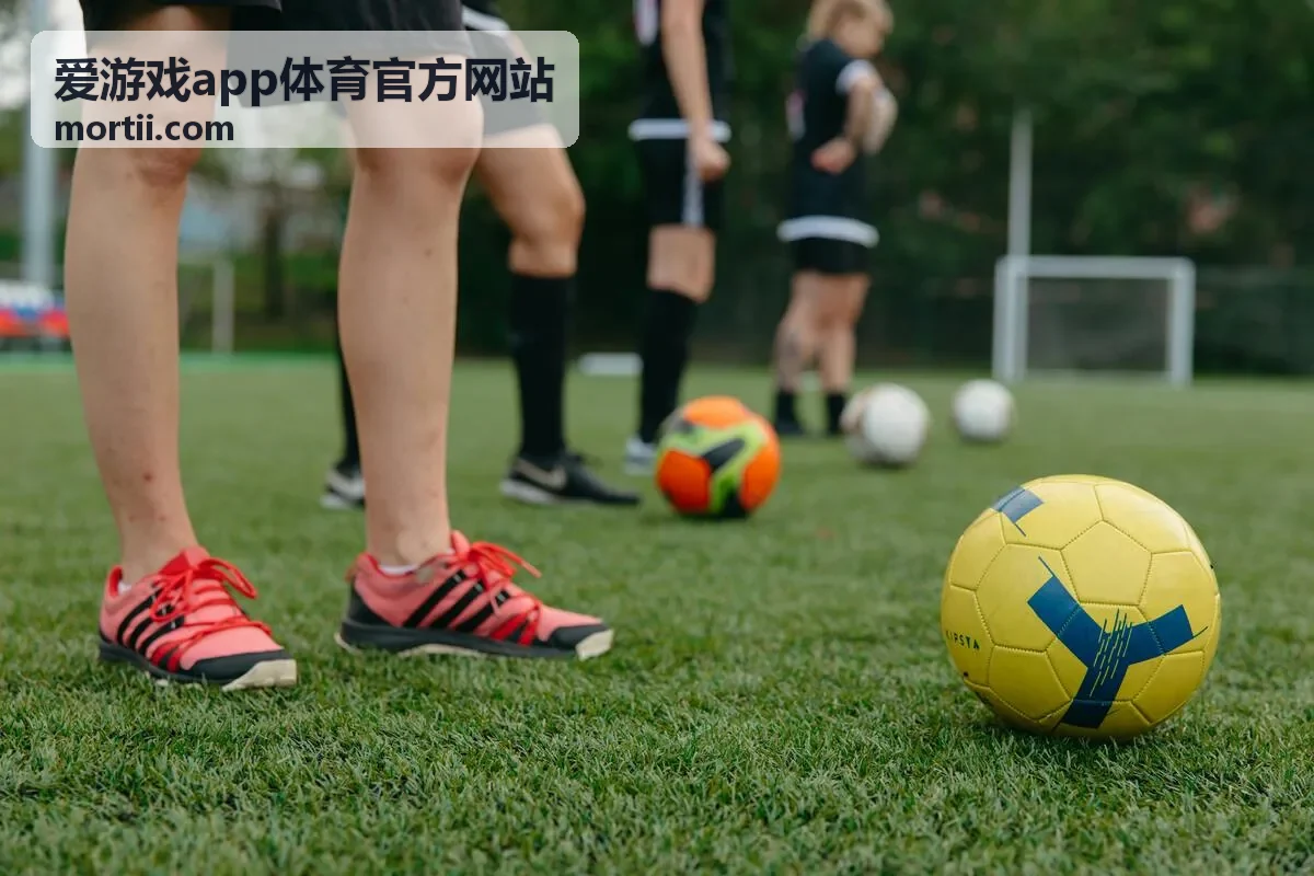 爱游戏app体育官方网站玩法规则说明封面